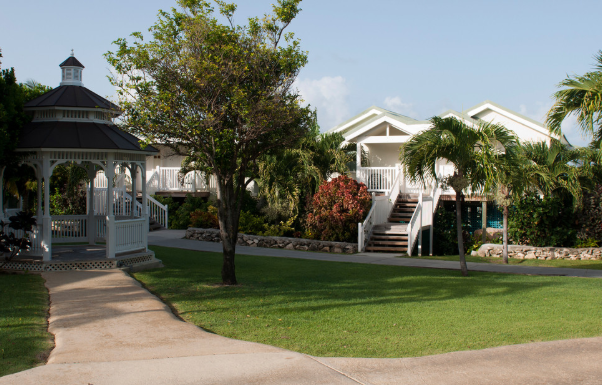 Simple Landscape Improvements That Transform Your Yard