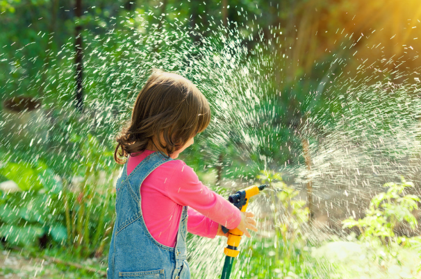 Summer Heat Stress: How to Help Your Garden