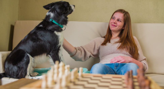 3 Tips for Keeping Your Home Clean and Pet-Friendly