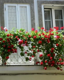 Tips for a beautiful Balcony