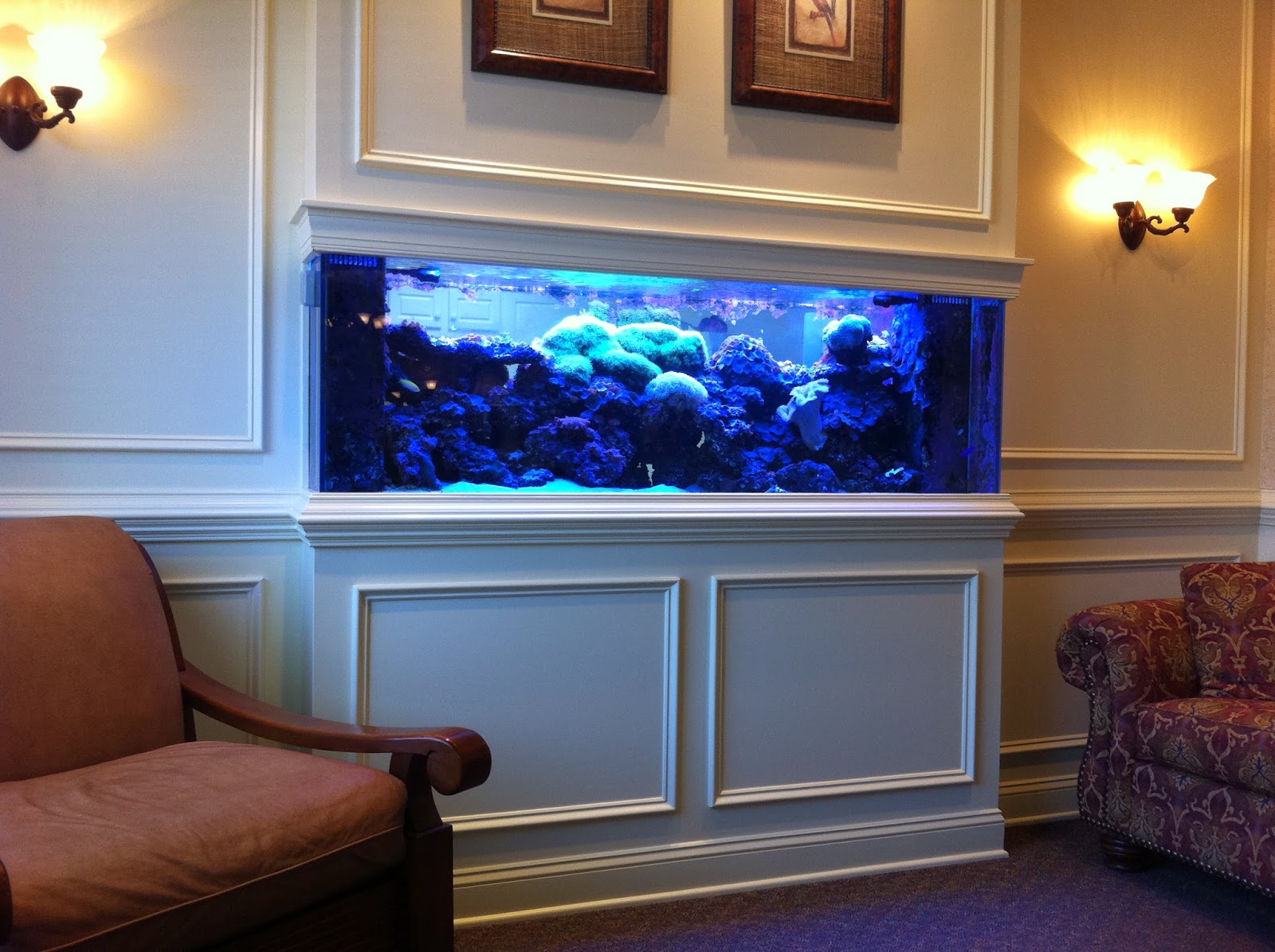 Unique Big Aquarium In House for Large Space