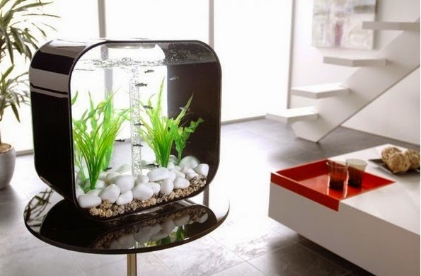 Beautiful Home Aquarium Design Ideas