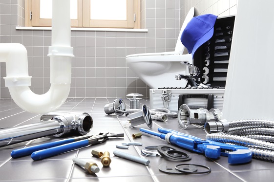Home Plumbing 101: DIY Or Professional?