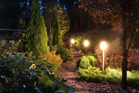 Illuminated home garden path patio lights and plants in evening dusk