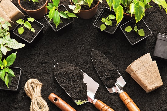 Gardening tools and plants on land
