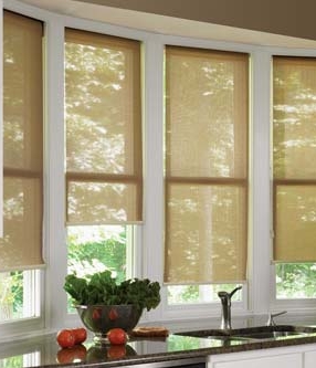 Benefits of vinyl windows