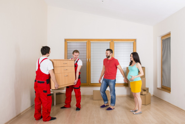 How to Prepare for Your Move From Florida to Colorado