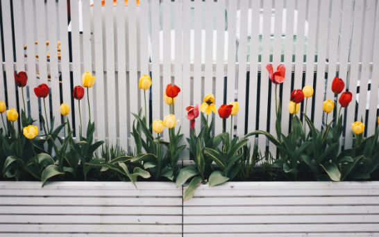 6 Popular Fence Ideas to Keep Safety in Style