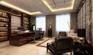 ceo-luxury-office-500x500