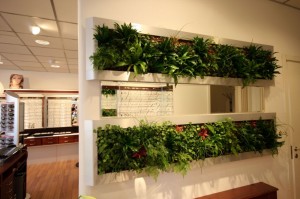 eco-friendly-ideas-with-vertical-plants-for-modern-home-interior-915x610