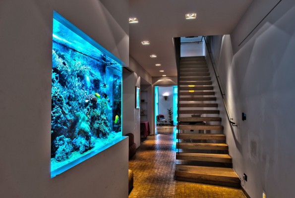 Beautiful Home Aquarium Design Ideas