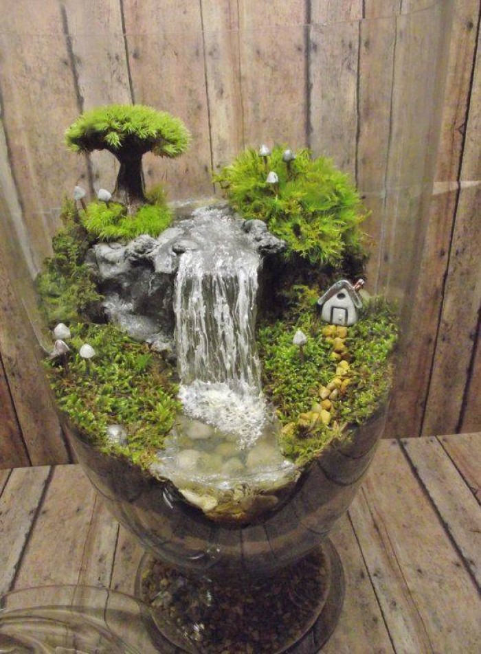 care and maintenance of bonsai tree