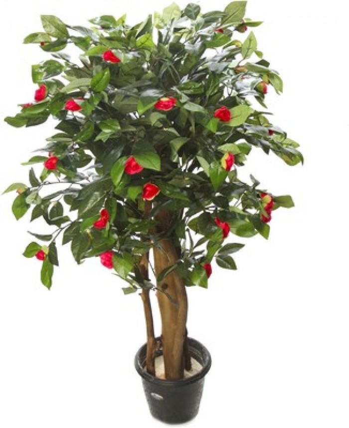 Kusal Camelia red 2 Wild Plant Artificial Plant