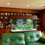 Amazing Home Aquariums Design Ideas