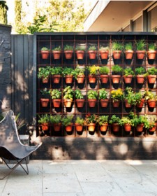 Create a beautiful vertical garden inside your house