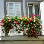 Tips for a beautiful Balcony