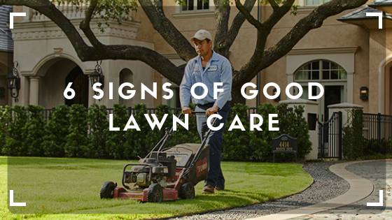 6 Signs of Good Lawn Care