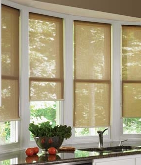 How To Choose the Right Windows For Your Home