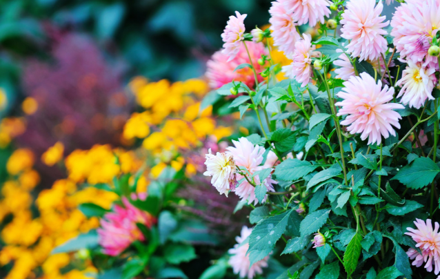 How Landscaping and Gardening Trends Are Boosting Home Appeal