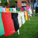 7 Types Of Clothesline That Makes Your Job Easy