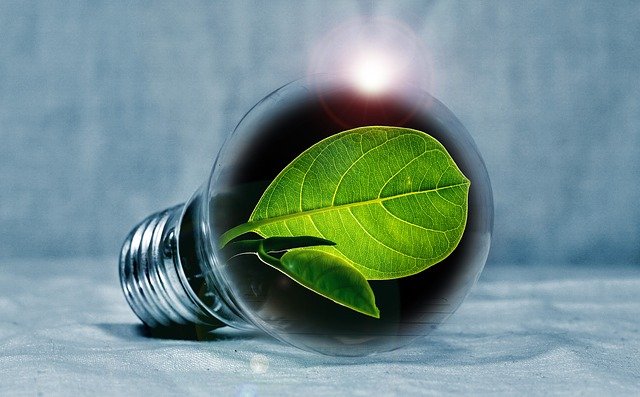 How to Cut the Energy Expenses and Help Your Home Go Green