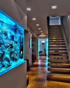 Beautiful Home Aquarium Design Ideas